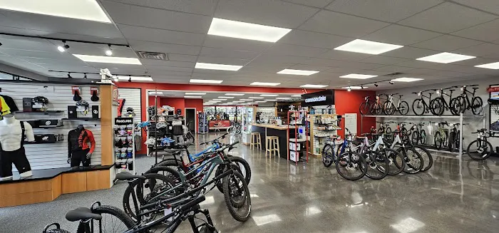 Spoke Life Cycles (Sylvania) Picture 1