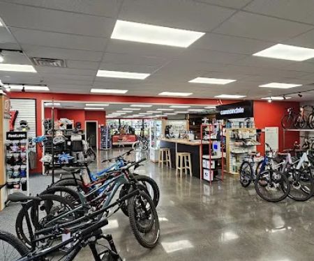 Spoke Life Cycles (Sylvania)