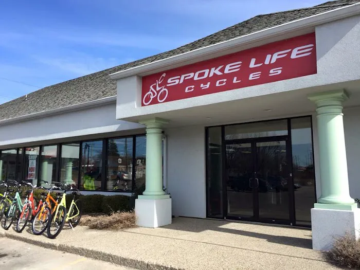 Spoke Life Cycles (Sylvania) Picture 2