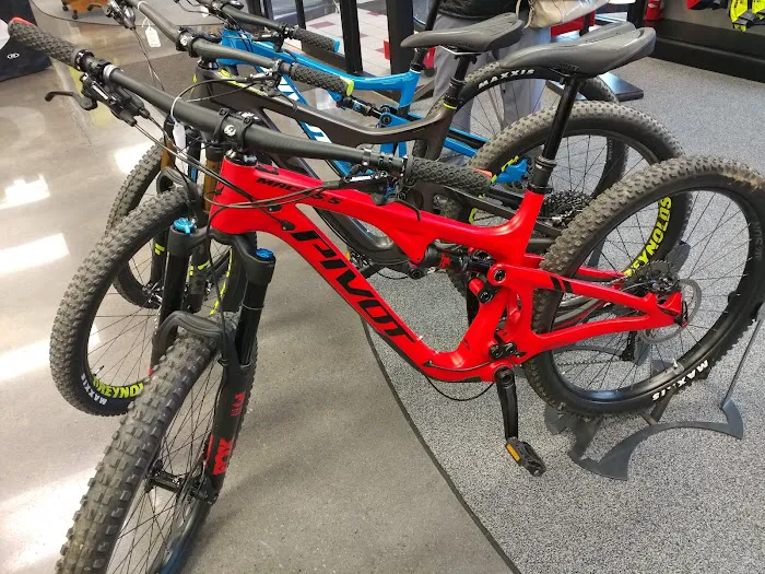 Spoke Life Cycles (Sylvania) Picture 4