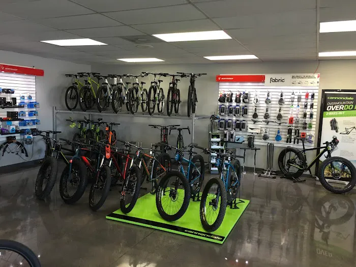 Spoke Life Cycles (Sylvania) Picture 10