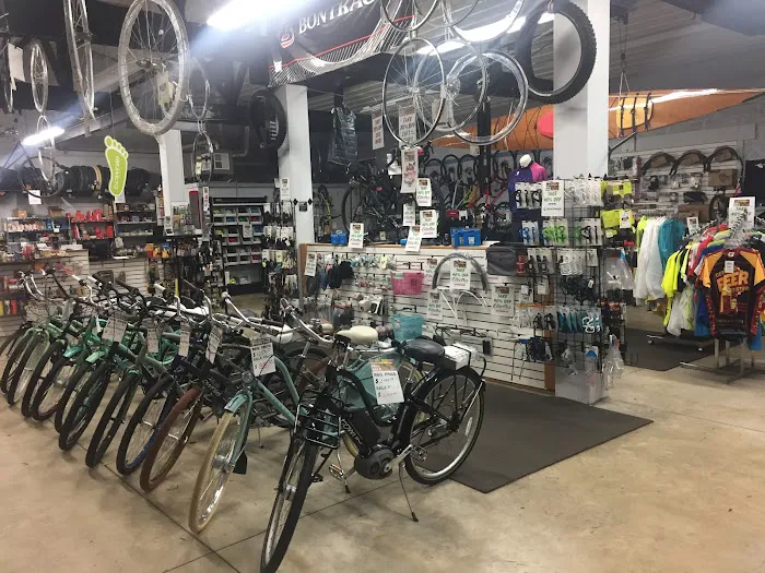 Spoke Life Cycles (Elmore) Picture 1