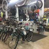 Spoke Life Cycles (Elmore) ico