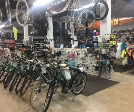 Spoke Life Cycles (Elmore)