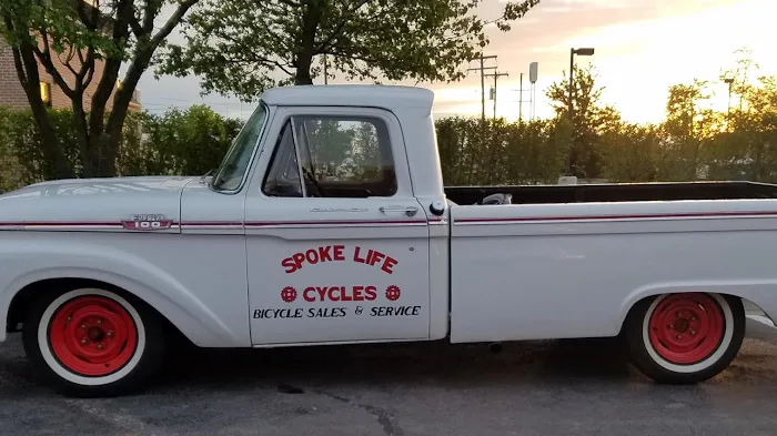 Spoke Life Cycles (Elmore) Picture 3