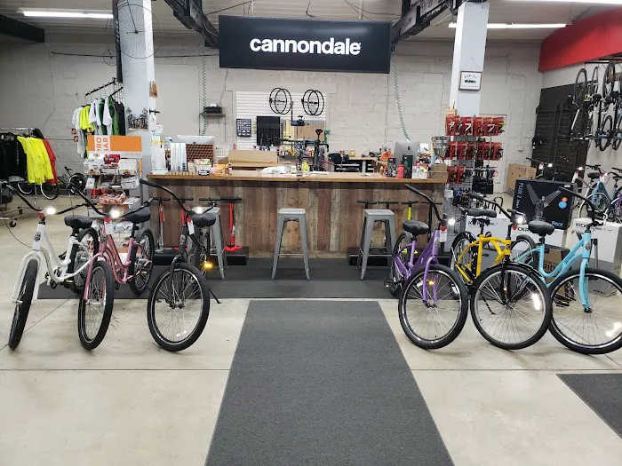 Spoke Life Cycles (Elmore) Picture 6