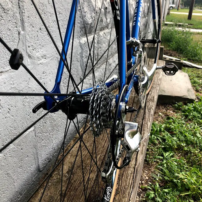 Spoke Life Cycles (Elmore) Picture 9