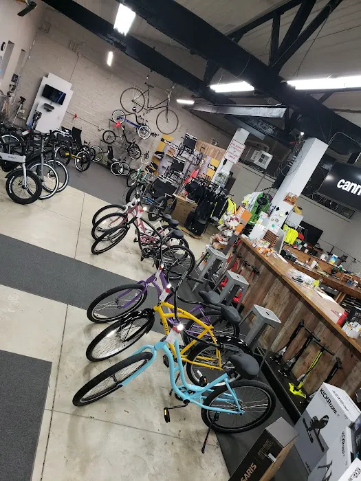 Spoke Life Cycles (Elmore) Picture 8