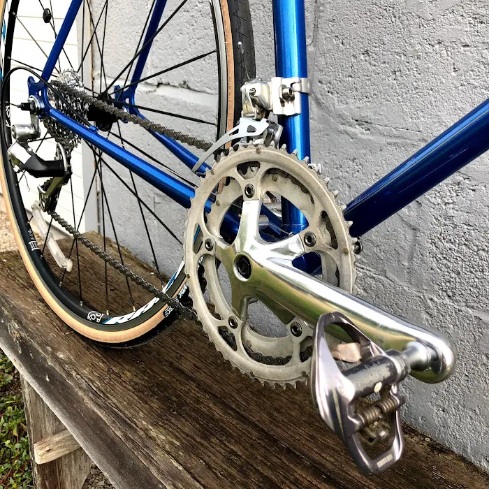 Spoke Life Cycles (Elmore) Picture 10