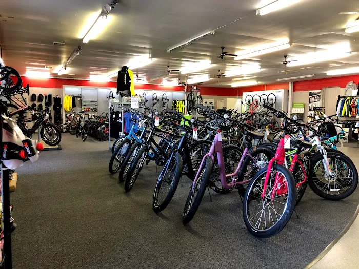 Spoke Life Cycles (Fremont) Picture 5