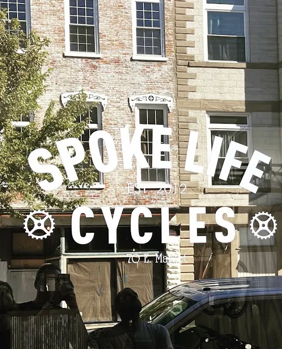 Spoke Life Cycles (Tiffin) Picture 6