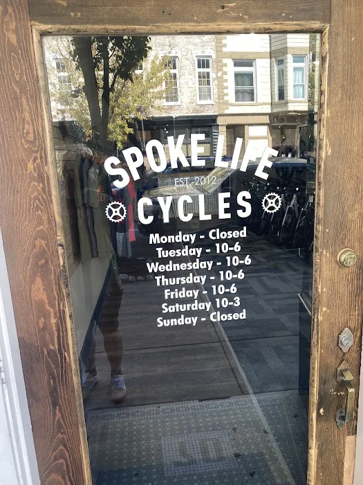 Spoke Life Cycles (Tiffin) Picture 5