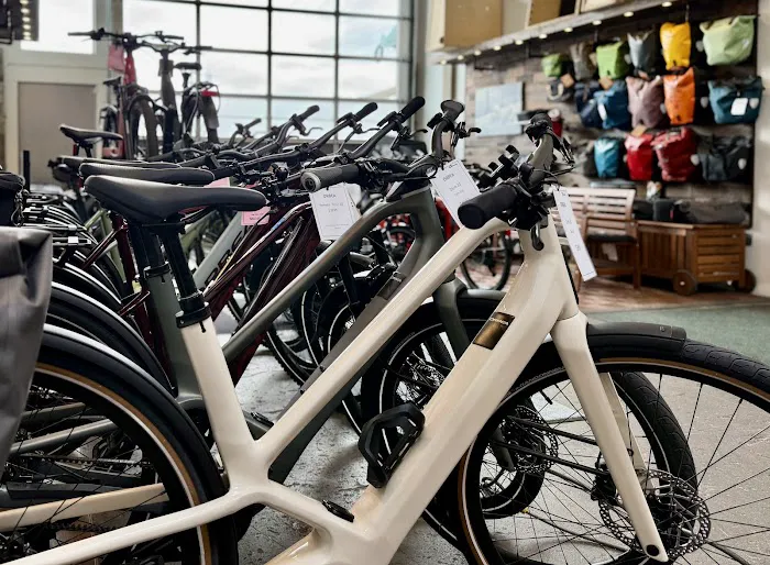 Splendid Cycles Picture 6