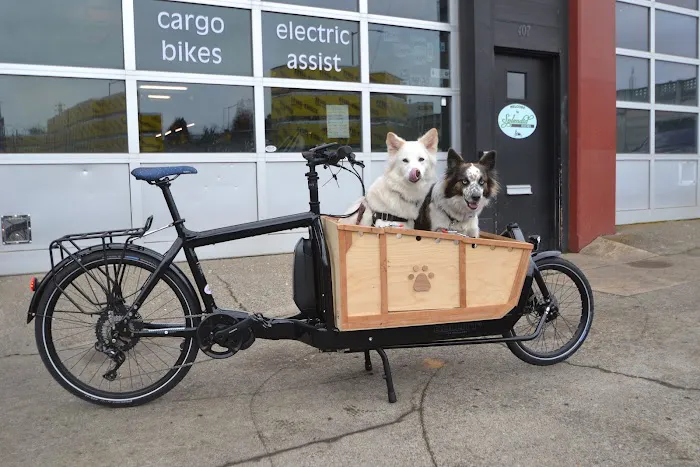 Splendid Cycles Picture 4