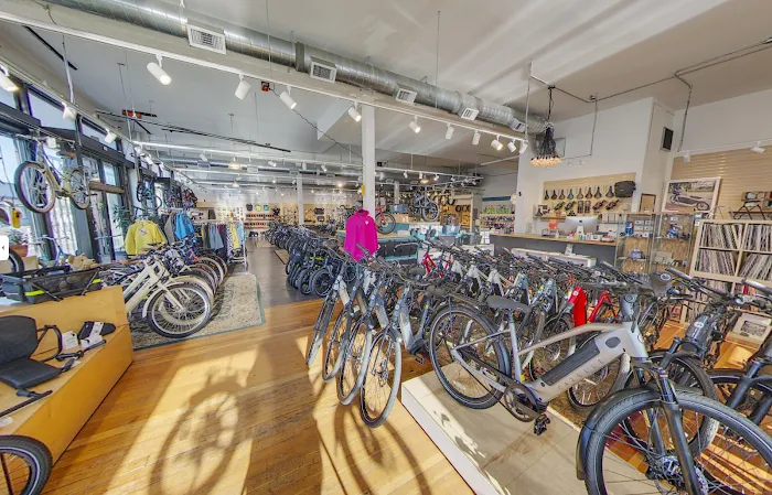 Clever Cycles Bicycle & Ebike Store Picture 7