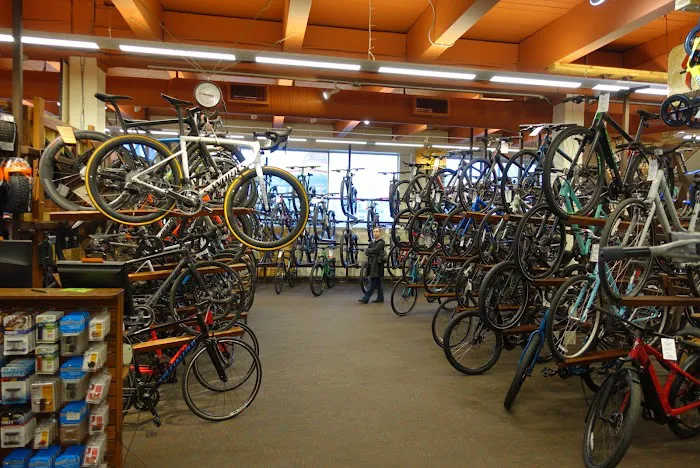 River City Bicycles Picture 8