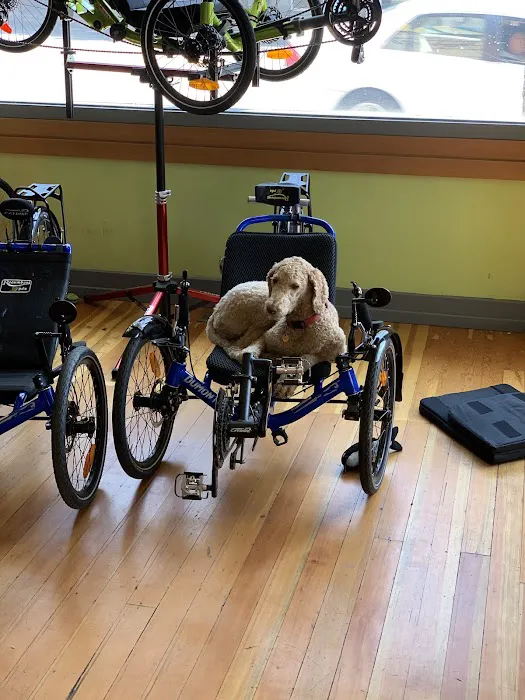 RecumbentPDX Picture 7