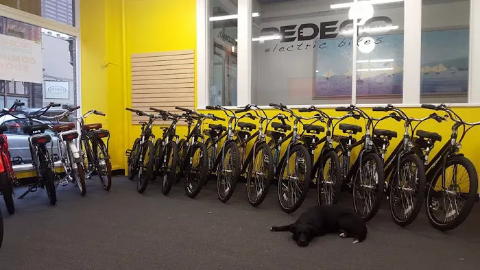 Pedego Electric Bikes Portland Picture 4