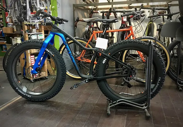 Joe Bike Picture 5