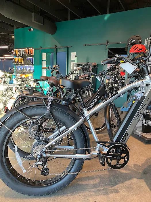 Cynergy E-Bikes Picture 3