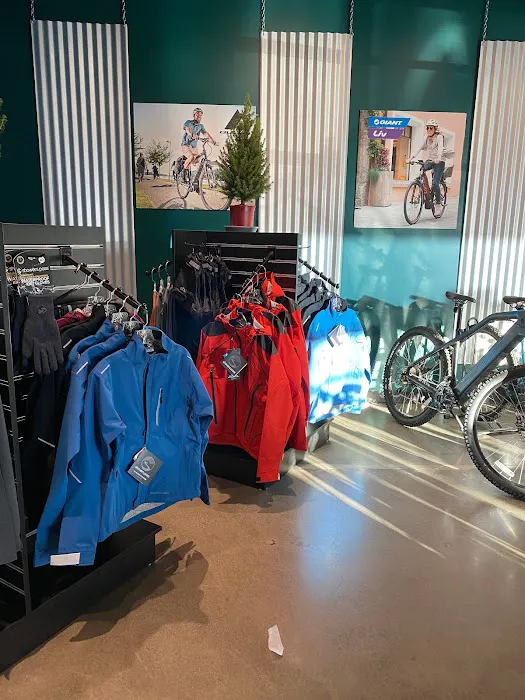 Cynergy E-Bikes Picture 6