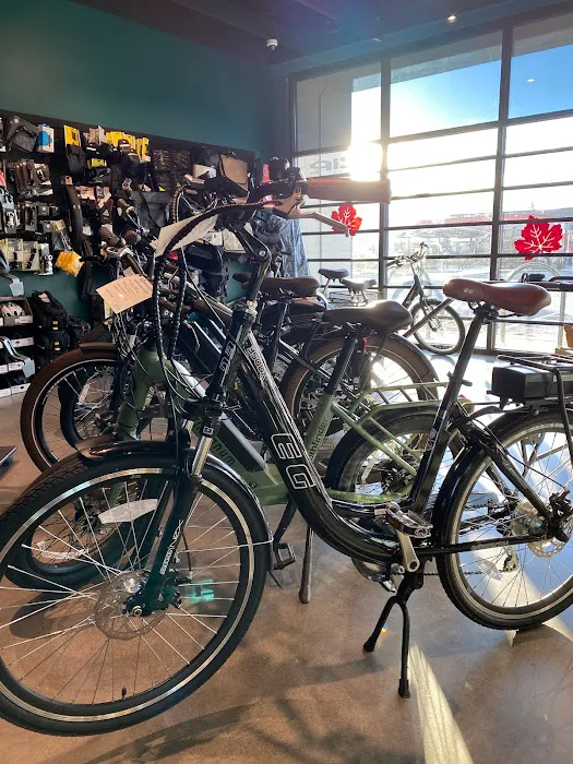 Cynergy E-Bikes Picture 4