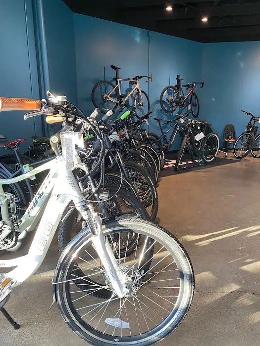 Cynergy E-Bikes Picture 7
