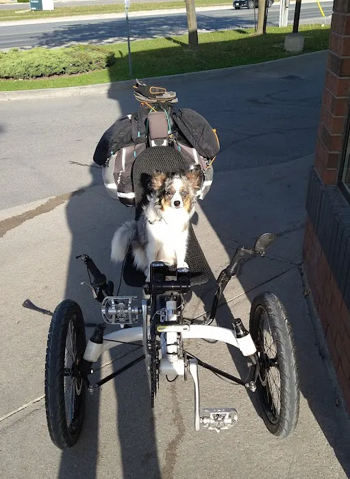Rose City Recumbent Cycles Picture 8