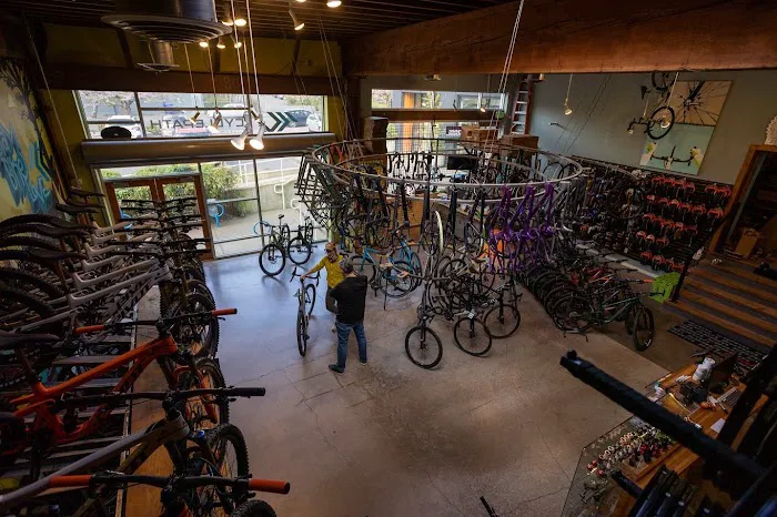 Cyclepath PDX Picture 5