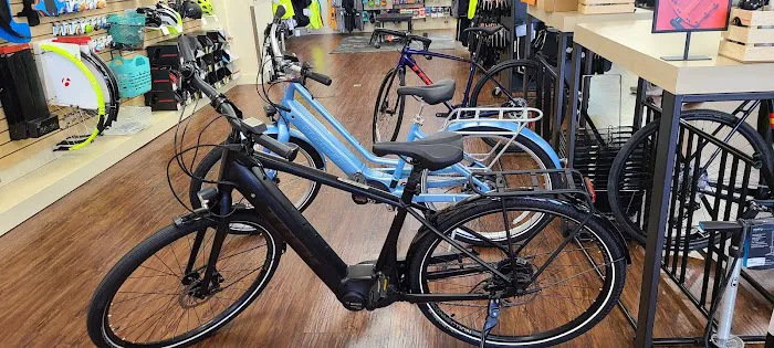 Trek Bicycle Portland Westmoreland Picture 4