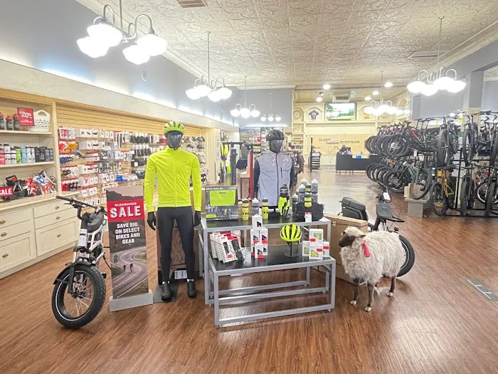 Trek Bicycle Portland Westmoreland Picture 6