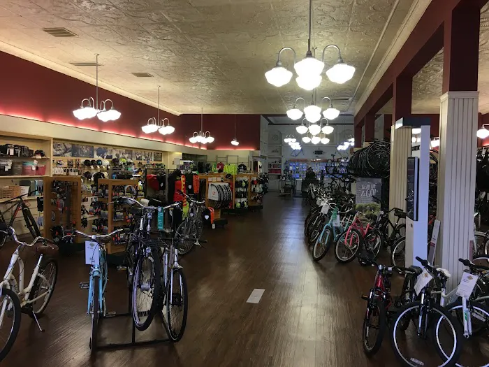 Trek Bicycle Portland Westmoreland Picture 8