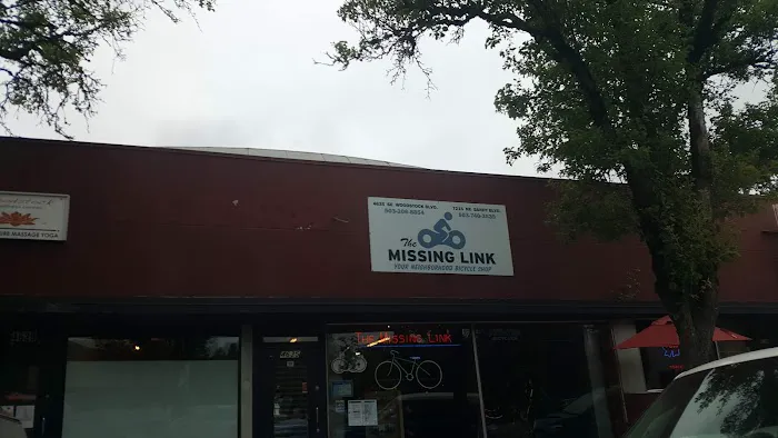 The Missing Link Picture 3