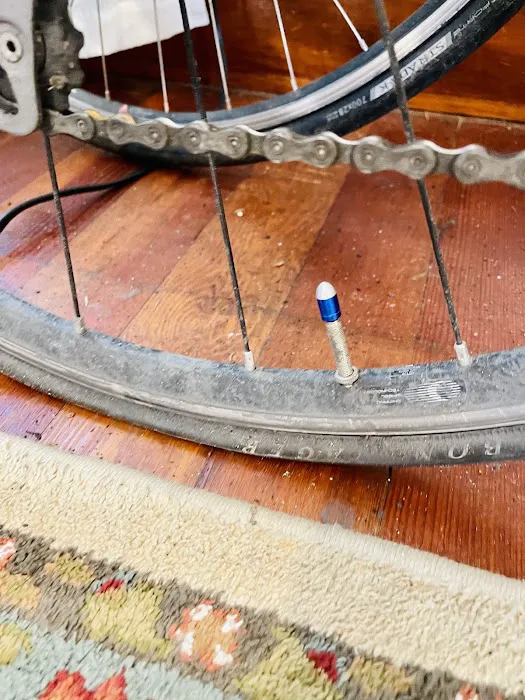 Southwest Bicycle Picture 8