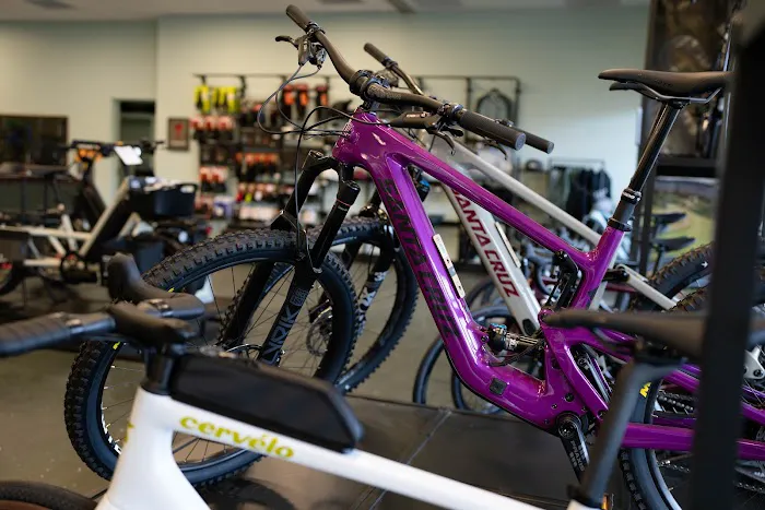 Cascade Bikes Picture 7
