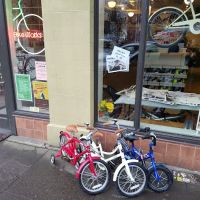 North Portland Bike Works ico