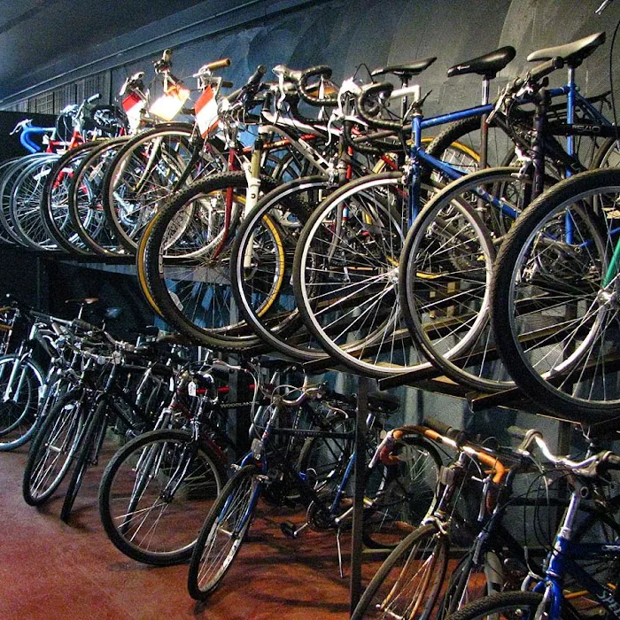 Backpedal Cycleworks Picture 2