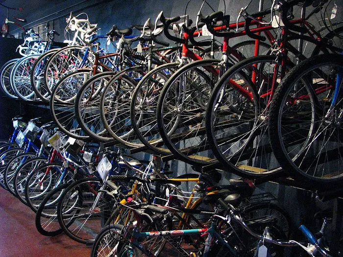 Backpedal Cycleworks Picture 4