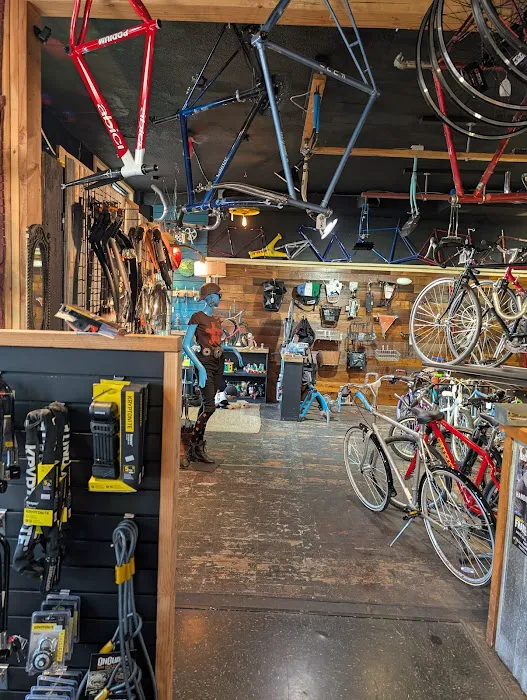 Backpedal Cycleworks Picture 8