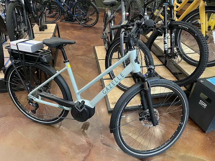 The eBike Store, Inc Picture 2