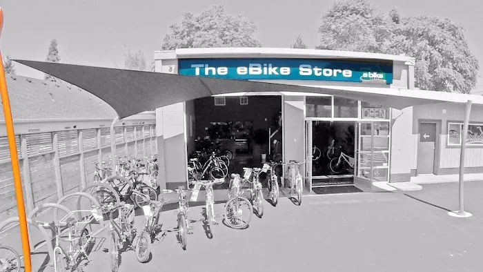 The eBike Store, Inc Picture 3