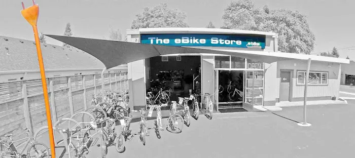 The eBike Store, Inc Picture 5
