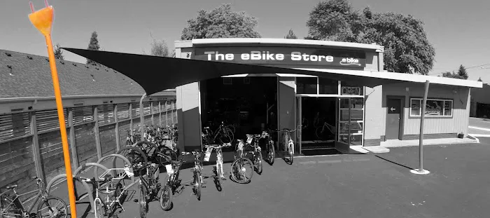 The eBike Store, Inc Picture 10