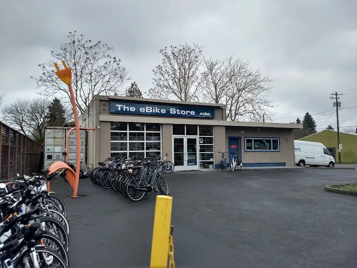 The eBike Store, Inc Picture 7