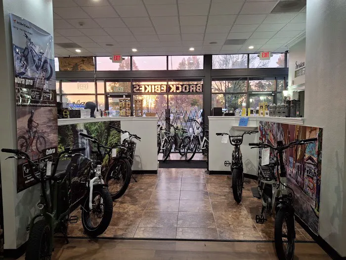 Brock Ebikes LLC Picture 3