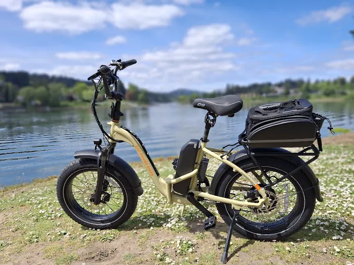 Brock Ebikes LLC Picture 2