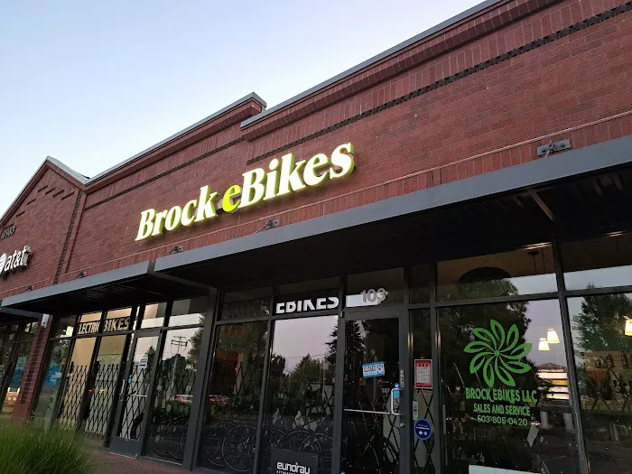 Brock Ebikes LLC Picture 1