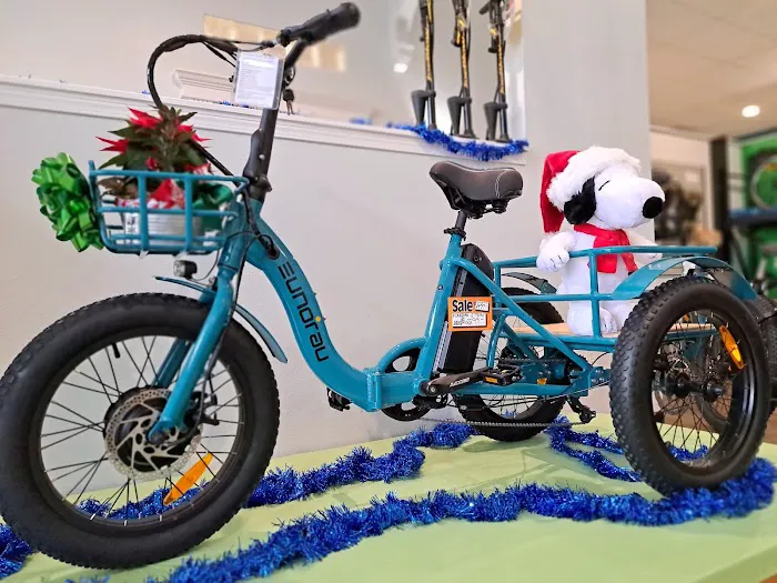 Brock Ebikes LLC Picture 8
