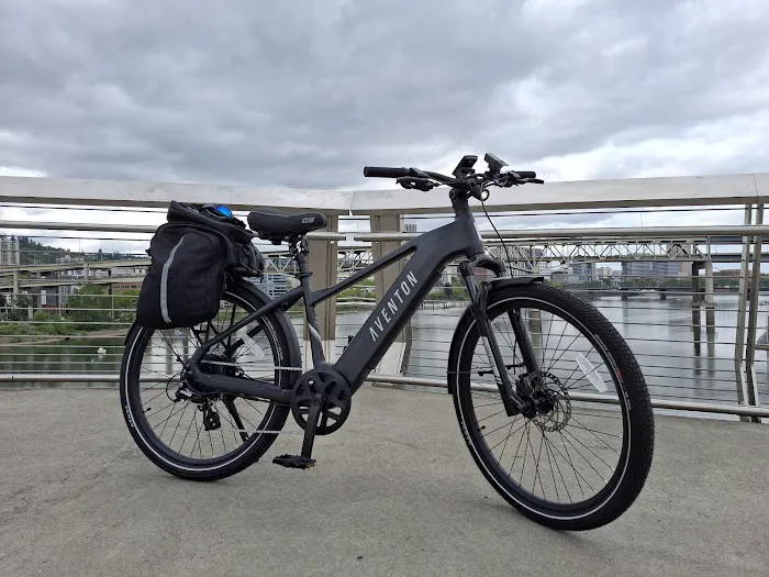Brock Ebikes LLC Picture 5
