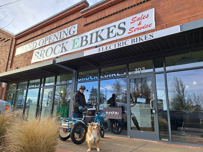 Brock Ebikes LLC Picture 6